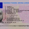 Full Irish Driving licence